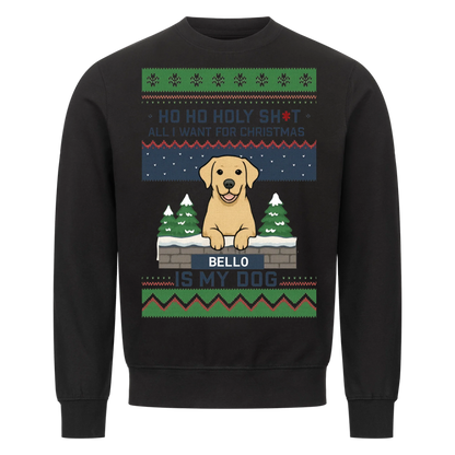 HoHoHo - Ugly Sweater