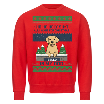 HoHoHo - Ugly Sweater