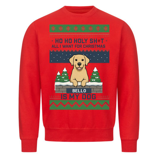 HoHoHo - Ugly Sweater