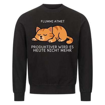 Katze Atmen