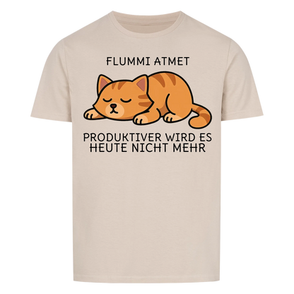 Katze Atmen