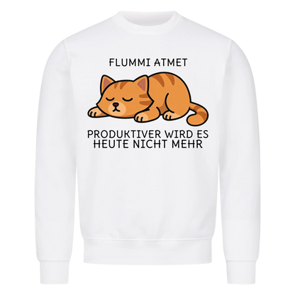 Katze Atmen